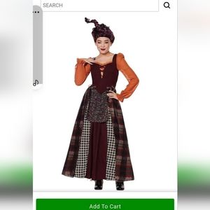 Mary Sanders plus size costume